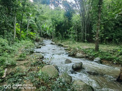 Nong Chaeng House | ติดธารโฮมสเตย์ - Cabin by The stream
