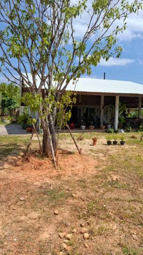 Mai Fat Resort | Anna Garden Homestay