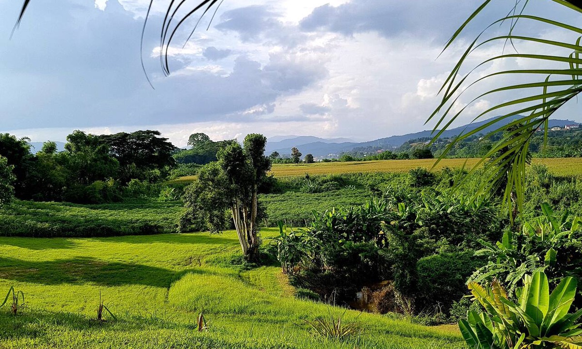 Chiang Khong Hotel | Baan Sakuna