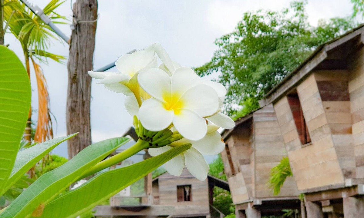 Tha Sut Hotel | Bortong Thailue Resort