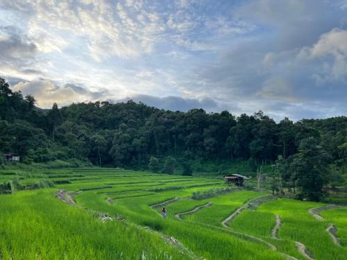 Samoeng House | Chibacall ชิบะคอล Karen Mountains Hideaway Homestay