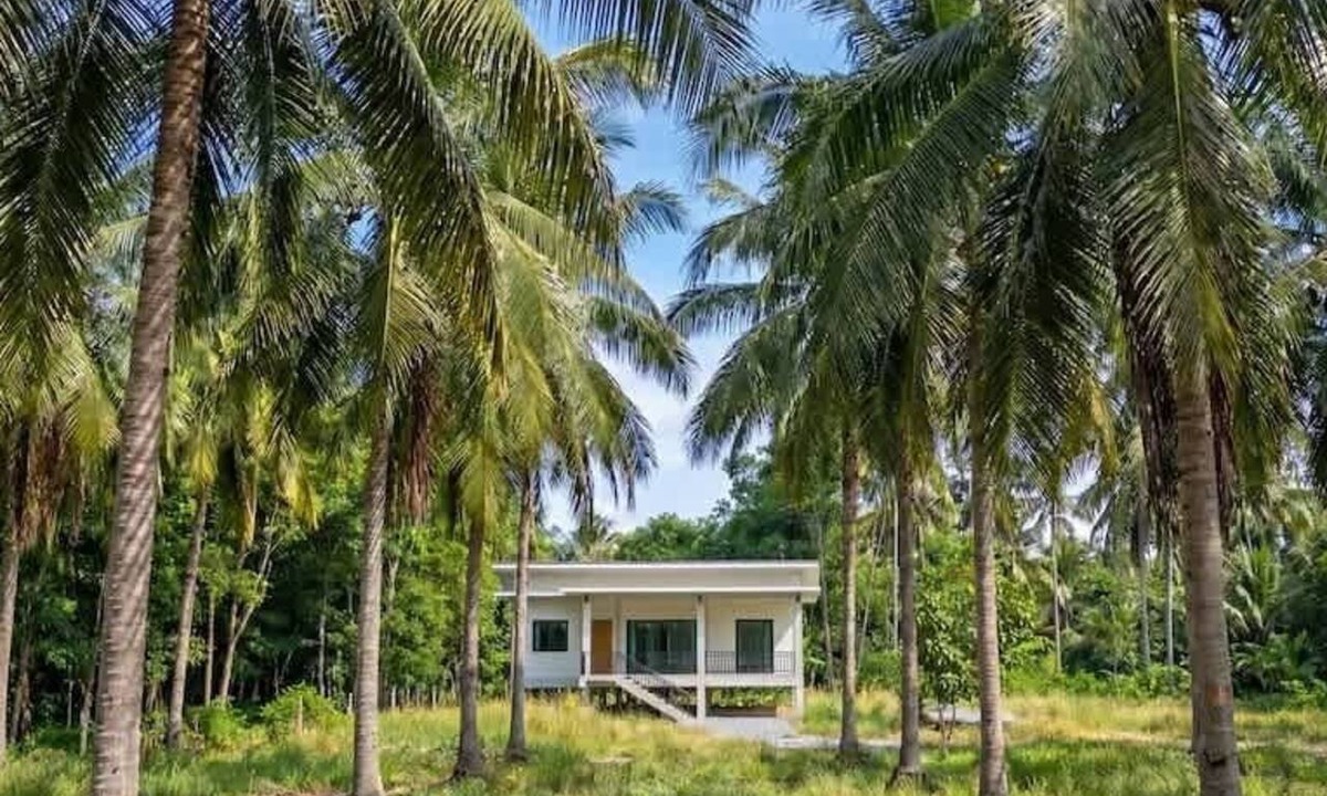 Srithanu House | Coconut Villa with Two Bedrooms and Palm View
