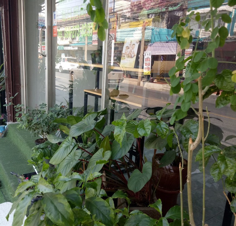 Don Muang Hotel | D House Hostel