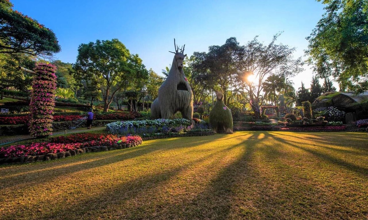 Mae Fa Luang Hotel | Doi Tung Lodge