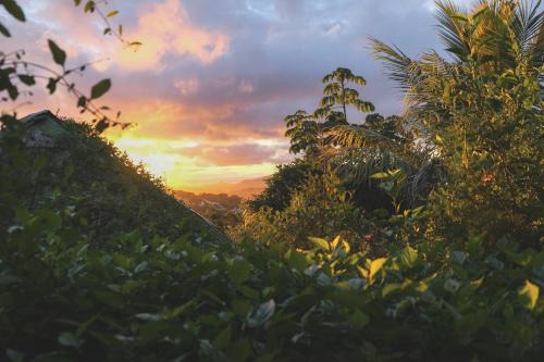Matagalpa Hostel | Estación Biológica Agualí