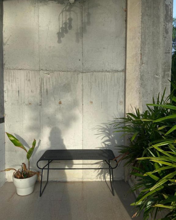 Chumphon House | Forest Guesthouse