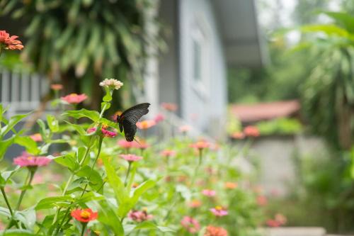 Pai Apartment | Honey Home Pai