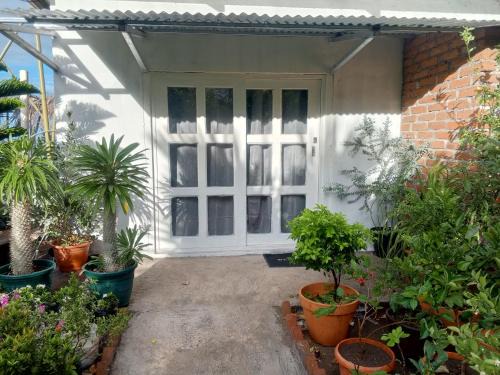 Rivas Apartment | house of the gardens