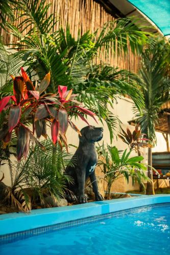 Las Penitas Bed & Breakfast | JAKES ON THE BEACH
