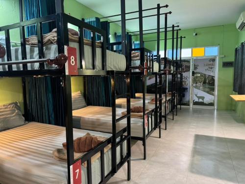 Khlong Sok Hostel | Khaosok jungle hostel Branch 1