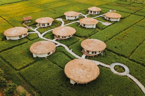 Wiang Pa Pao Hotel | Na Bua Villa Chiangrai