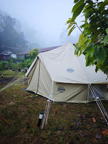 Phrae Other | Pick-A-Brew Camp