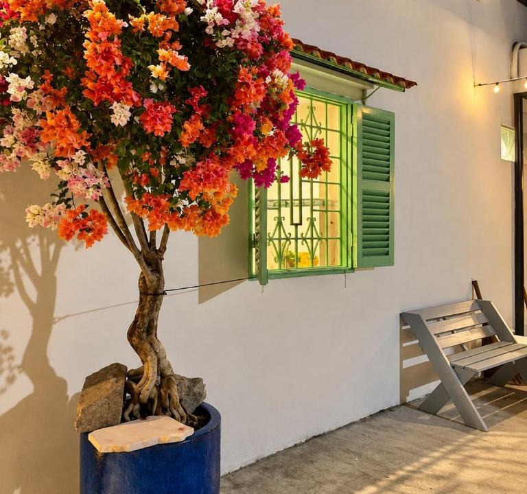 Cho Phuoc Hai House | Rosie Home 2-LaVita garden