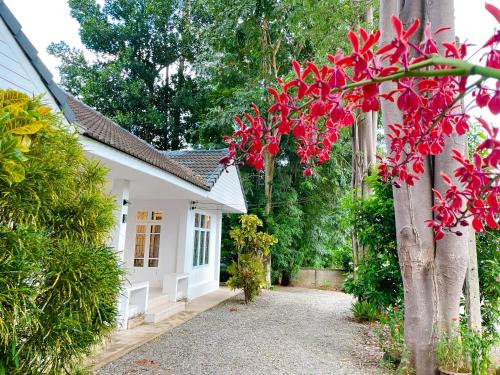 Tha Kham House | Silpasom ARTstay