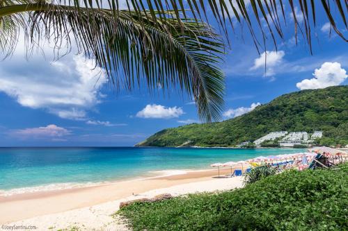 Nai Harn Apartment | SOLA Condo 1BR Tropical View NBC Nai Harn Nai