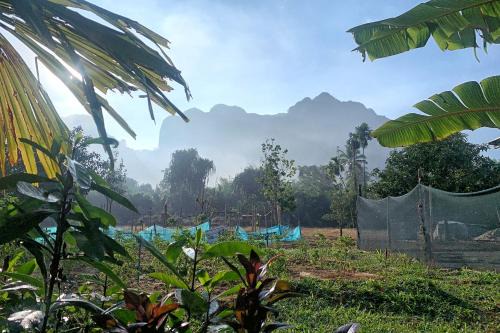 Khlong Sok House | Tara Farm Stay Khao Sok