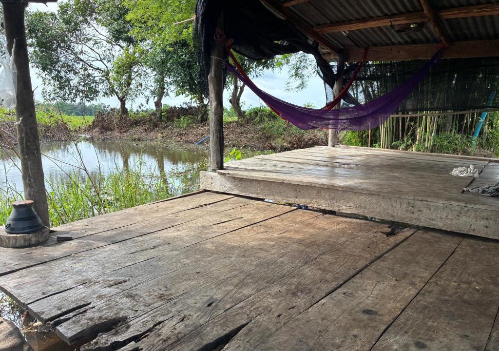 Wichian Buri Bed & Breakfast | The Sawmill Lakeside Hut