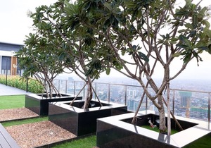 D'Suites at The Sykline One bedroom #2 in 7 Makara District Vealvong