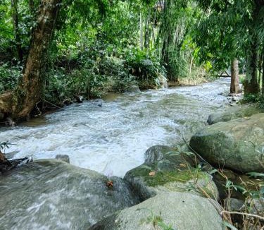 Nong Chaeng House | ติดธารโฮมสเตย์ - Cabin by The stream
