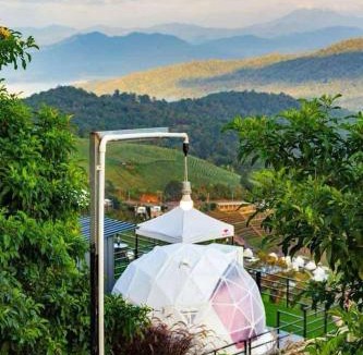 Mae Rim Other | ม่อน ซากุระ ม่อนแจ่ม