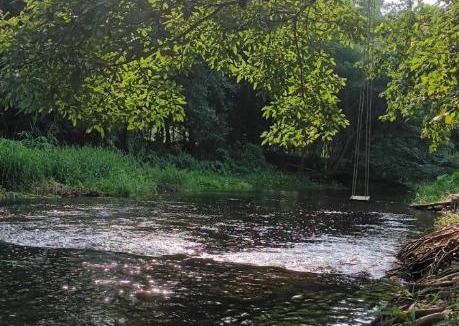 Suan Phueng Other | สุขเสมอ แคมป์ปิ้ง สวนผึ้ง