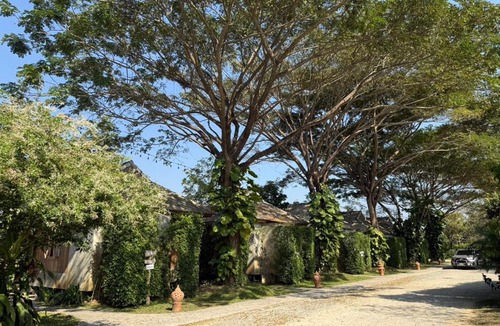 Wiang Pa Pao House | เพลินนะเพลินนา รีสอร์ต Ploennaploenna