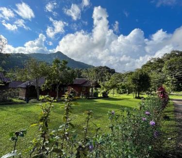 Chom Thong House | Angha forest view บ้านไผ่งาม