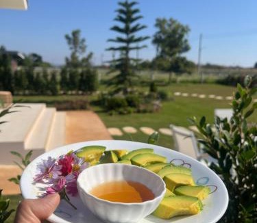 Khlong Muang Apartment | AVO VILLA Khaoyai