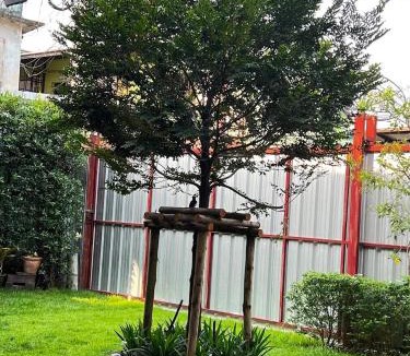 Bangkok Yai House | Baan Apak