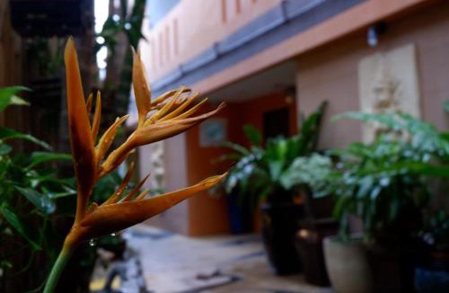Kamala Hotel | Baan Kamala Fantasea Hotel