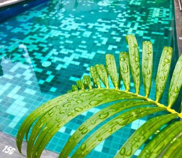 Nanai Road Hotel | Baan Veerakit Hotel