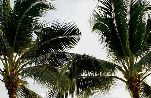 Mae Nam Villa | Beachfront Villa in Boutique Resort (M7)