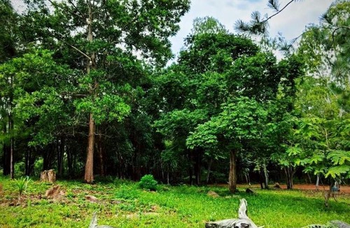 Kaset Sombun House | Blue Sky Hill Homestay Chaiyaphum