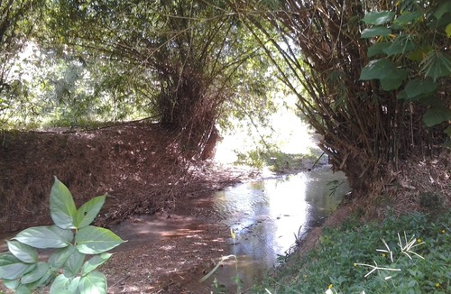 Mae Nam Villa | Charming and Authentic Thai Villa facing river surrended by jungle