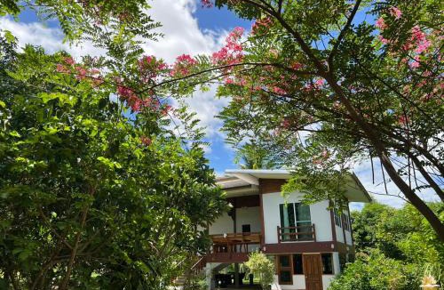 Ban Kluai House | Coco farm stay Suanphueng