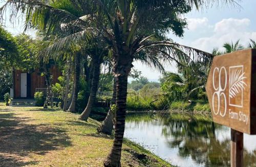 Ban Kluai House | Coco farm stay Suanphueng
