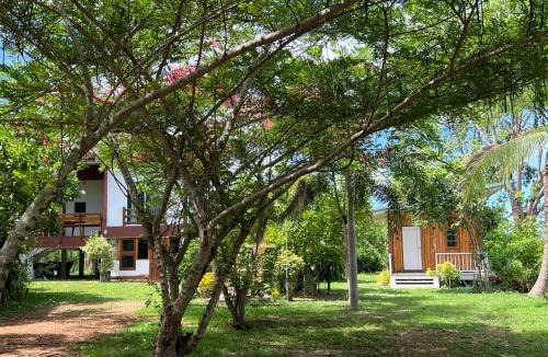 Ban Kluai House | Coco farm stay Suanphueng