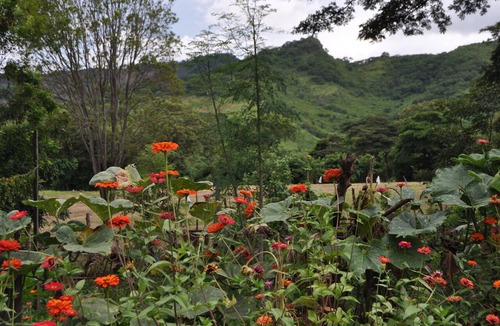 Boaco Bed & Breakfast | Experience the heart of the Nicaraguan countryside at Casa Girasol