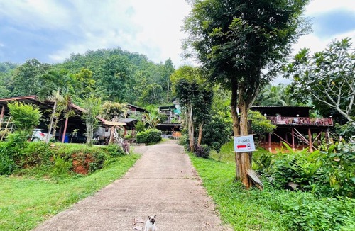 Samoeng Ski Chalet | Forest Fishing