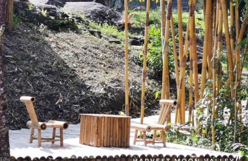 Pa Pae House | Harvest Moon Valley