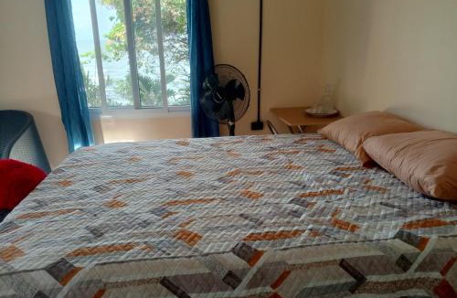 Rivas Apartment | house of the gardens