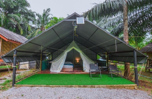 Phanom Other | Khaosok Eco Jungle Camp