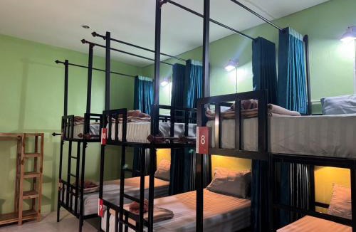 Khlong Sok Hostel | Khaosok jungle hostel Branch 1