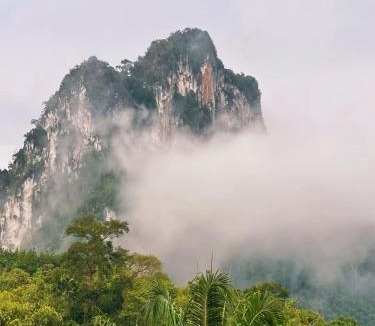 Khlong Sok Other | Khaosok Malinglamping