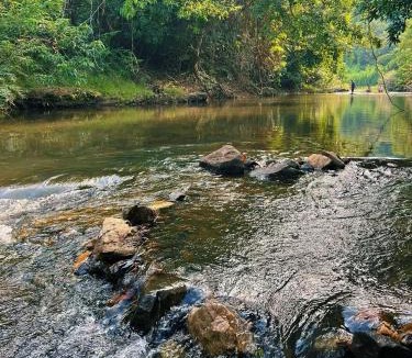 Khlong Sok Other | Khaosok Malinglamping