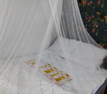 San Juan de Oriente Hostel | La casa de leo ,Hostal ,coffe y artesanía local