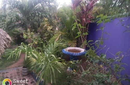 El Gigante House | La Cascada Hostel & Restaurant