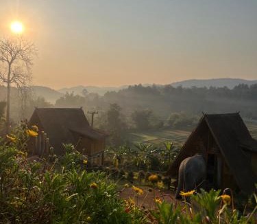 Mae Wang Bed & Breakfast | Lazy mango homestay