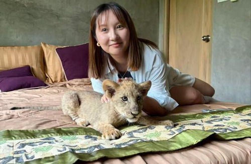 Ban Pong Bed & Breakfast | Lion Cafe Resort