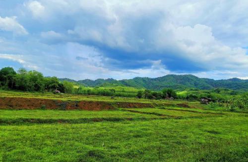 Wang Chin House | Mint Organic Farm Stay, Wangchin,Phrae